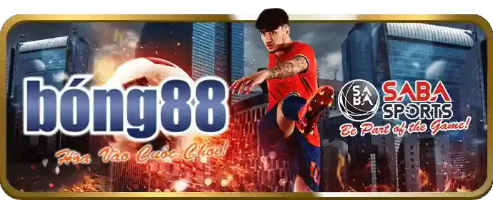 Tổng quan về Đá Gà Trực Tuyến tại banca30 app